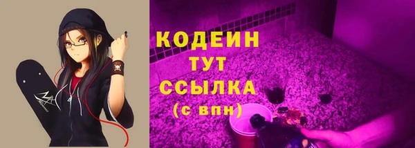 хмурый Абаза