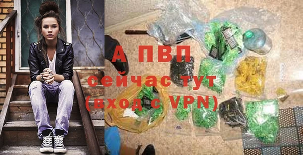 хмурый Абаза