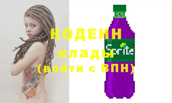 хмурый Абаза