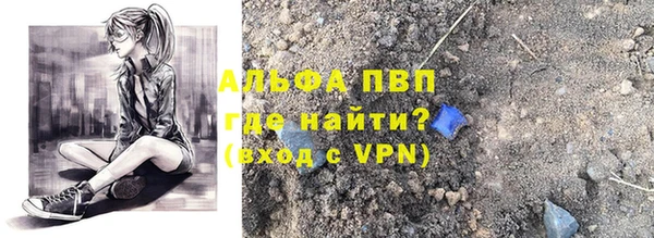 хмурый Абаза