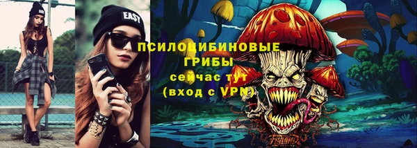 хмурый Абаза