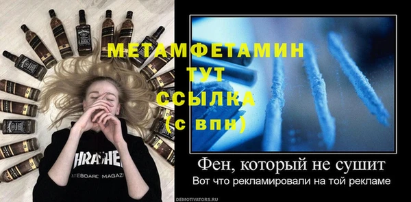 стаф Касимов