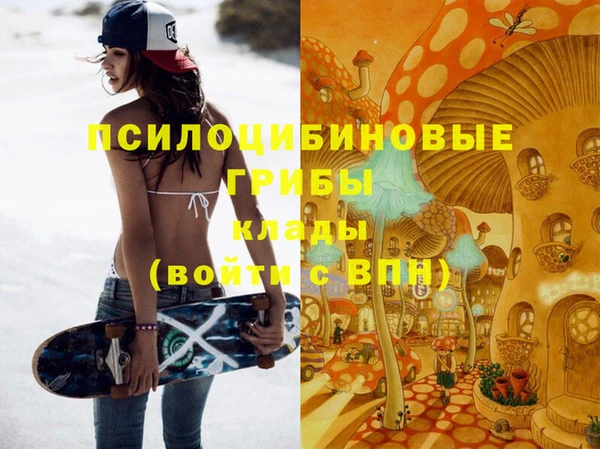 хмурый Абаза
