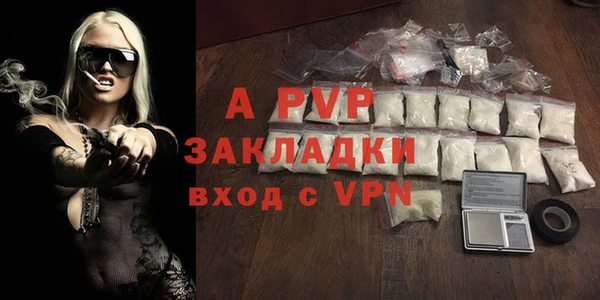 хмурый Абаза