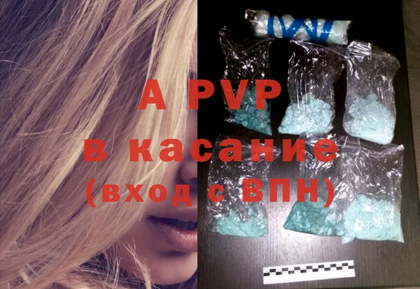 хмурый Абаза